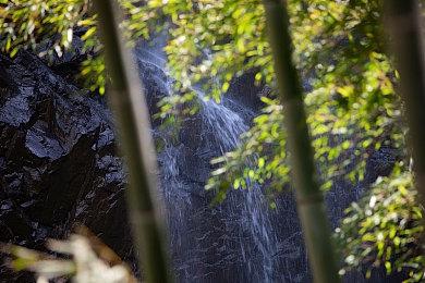 国产像素风独立游戏《多洛可小镇》Steam页面公开