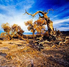 B社客服对《星空》Steam上的差评进行了回应